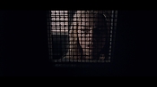 theward12570.jpg