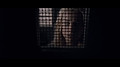 theward12578.jpg