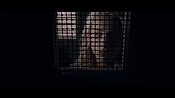 theward12581.jpg