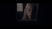 theward12587.jpg