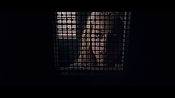 theward12588.jpg