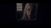 Filename=theward12593.jpg
Filesize=222KiB
Dimensions=1920x1080
Date added=Apr 29, 2021 theward12593.jpg