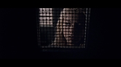 Filename=theward12596.jpg
Filesize=240KiB
Dimensions=1920x1080
Date added=Apr 29, 2021 theward12596.jpg