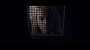 Filename=theward12664.jpg
Filesize=189KiB
Dimensions=1920x1080
Date added=Apr 29, 2021 theward12664.jpg