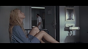Filename=theward12784.jpg
Filesize=386KiB
Dimensions=1920x1080
Date added=Apr 29, 2021 theward12784.jpg