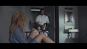Filename=theward12875.jpg
Filesize=323KiB
Dimensions=1920x1080
Date added=Apr 29, 2021 theward12875.jpg