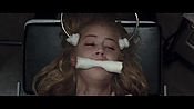 theward20668.jpg