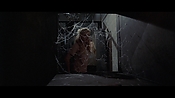 theward30470.jpg