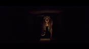 theward30800.jpg