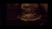 theward31240.jpg