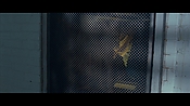 Filename=theward31374.jpg
Filesize=480KiB
Dimensions=1920x1080
Date added=Apr 30, 2021 theward31374.jpg