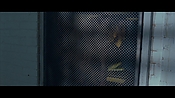 Filename=theward31380.jpg
Filesize=492KiB
Dimensions=1920x1080
Date added=Apr 30, 2021 theward31380.jpg
