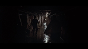 theward45977.jpg