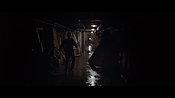 theward45978.jpg