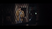 theward46523.jpg