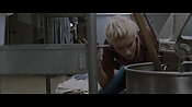 theward48750.jpg