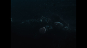 Filename=zacksnydersjusticeleague1759.jpg
Filesize=607KiB
Dimensions=3840x2160
Date added=Aug 30, 2021 zacksnydersjusticeleague1759.jpg